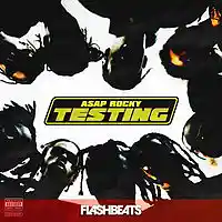 Picture for song 'Testing' by artist 'FlashBeats.net'