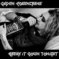 Picture for song 'Break It Down Tonight' by artist 'Jaden Rosencrans'