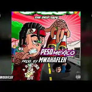 Picture for song 'PesoMexiko - PROD BY MWAKA FLEX (peso peso )' by artist 'MWAKA FLEX'