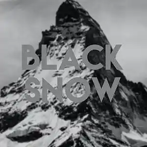 Picture for song 'Black Snow ( Buy 1 Get 1 Free )' by artist 'Sako Beats'