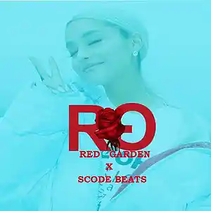 Picture for song 'Cali' by artist 'Scode Beats'