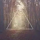 Picture for song 'Forest *Drake/PARTYNEXTDOOR Type Beat*' by artist 'Superstaar Beats'