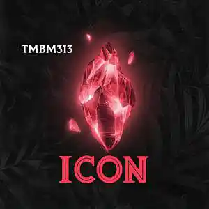 Picture for song 'ICON' by artist 'TMBM313'
