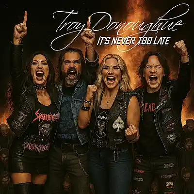 Picture for song 'It's Never Too Late (Instrumental Mix)' by artist 'Troy Donoughue'