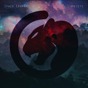 Picture for song 'Ninja Dust' by artist 'Space Leopard'