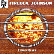 Picture for song 'House Of The Rising Sun' by artist 'Firebox Johnson'