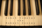 Picture for song '3-3 beat1' by artist 'Robot Yodeler'