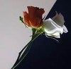 Picture for song 'Not yet Jaded' by artist '100meters'