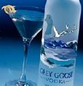 Picture for song 'In da club on goose' by artist '482GuuyTeXo'