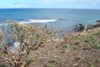 Picture for song 'Ocean Waves and Sunshine Rays' by artist 'Abe's Logic'