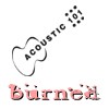 Picture for song 'Burned' by artist 'Acoustic 101'