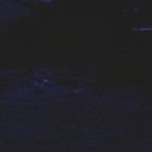 Picture for song 'The Forgotten' by artist 'Adam Fielding'