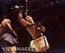 Picture for song 'rocky marciano' by artist 'Agent'