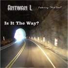 Picture for song 'Is It The Way?' by artist 'Alan B'