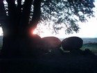 Picture for song 'guitarfields' by artist 'aldotic'