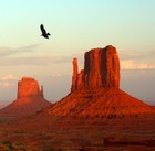 Picture for song 'Valley of the Giants (Lost in Time)' by artist 'ALPHA ONE OMEGA'