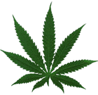 Picture for song 'Legalize It w/ Xplosive (Song)' by artist 'Amby-Valent'