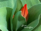 Picture for song 'All My Life (New!!)' by artist 'Amy J'
