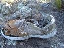 Picture for song 'The Shoe of Zorbas' by artist 'Andy Milestone'