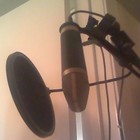 Picture for song 'GOIN CRAZY' by artist 'ANIMAL ENT.'