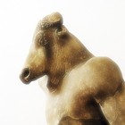 Picture for song 'Animalesque' by artist 'Animalesque'