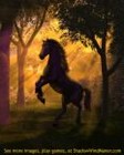 Picture for song 'Black Horse and a Cherry Tree' by artist 'Annie D'