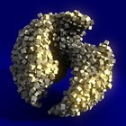 Picture for song 'Chrono-Spheroid' by artist 'Anomelody'