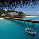 Picture for song 'Island song' by artist 'Antoinette (US)'