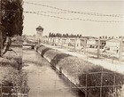 Picture for song 'Dachau Razor Wire Waltz' by artist 'Apologist'