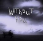 Picture for song 'Without You' by artist 'Arne Wuensche'