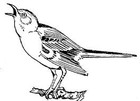 Picture for song 'MockingBird thought' by artist 'Aspiranti'