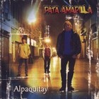 Picture for song 'al menos te tuve (pata amarilla)' by artist 'ATIK SAMI'