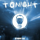 Picture for song 'Tonight' by artist 'Atomic cat'