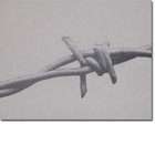 Picture for song 'Barb on a wire' by artist 'Austin Stage Line'