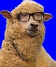 Picture for song 'Remote Control' by artist 'AVERAGE ANIMAL'