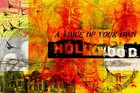 Picture for song 'secondhand affiliation' by artist 'A Voice Of Your Own'