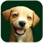 Picture for song 'Be Gone 88 bpm (Prod. by Axis Beats)' by artist 'Axis Beats (US)'