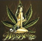 Picture for song 'DURT WEED FREE DL' by artist 'Bangin Bass Productions'