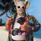 Picture for song 'Turista sessuale' by artist 'Barriera XXI'