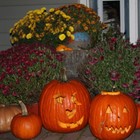 Picture for song 'Nightshade Boogie' by artist 'Barry Freeman'