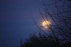 Picture for song 'Whistlin' Past The Graveyard.mp3' by artist 'Barry Freeman'