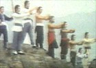Picture for song '10 Tigerz' by artist 'Beat Of Sras'