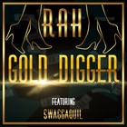 Picture for song 'Gold Digger' by artist 'Beats By Gods'