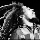 Picture for song 'Freedom SOLD' by artist 'BeatzLowkey'