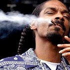 Picture for song 'Ridin SOLD' by artist 'BeatzLowkey'