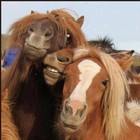 Picture for song 'Old Hippie Sebastian & Fitzpatrick ..4:20 ..Demo' by artist 'Bella and Music Boy'