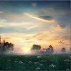 Picture for song 'Staccato Modalis' by artist 'Belosound'