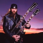 Picture for song 'Zakk Wylde - Farewell Ballad' by artist 'Ben-G feat Chris'