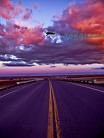 Picture for song 'Highway in the Sky' by artist 'Bert Guy'