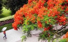 Picture for song 'Improvise-betty2007-06-10(»ñ°Äªá¶}ªº¯¬ºÖ)' by artist 'Betty5411'